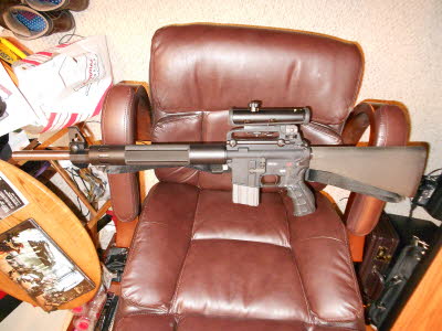 AR-15 Custom